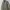 Parka Army Military M65 Model photo 2