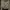 Atasan Crop