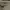 crop cream photo 2