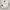 Apple Watch SE (Gen 2) 40mm GPS photo 1