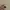 Apple Watch SE (Gen 2) 40mm GPS photo 4