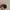 Apple Watch SE (Gen 2) 40mm GPS photo 5