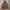 Rasta Colour by Element ZipHoodie photo 1