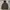 Bulletnoise Veterano ZipHoodie photo 1