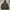 Bulletnoise Veterano ZipHoodie photo 4