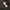 Bulletnoise Veterano ZipHoodie photo 6