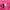 [HnM] Pink Crop Top 