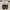 Vans Authentic photo 6