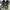 Nike P-6000 Cool Grey ( Original ) photo 3