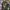 Kaos band The smashing pumpkins bootleg photo 1