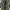 Bleur Baggy Pants Pattern Realtree *Brand mooday project photo 3