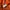 00s Russel Athletic Orange  photo 5