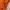 00s Russel Athletic Orange  photo 1