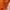 00s Russel Athletic Orange 