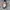 Sepatu clarks loafers pria photo 4