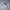 2000’s po** i am not a human being hodie grey photo 5