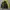 Padded Jacket Kappa Feyenoord 2005-2006 photo 1