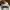 Adidas Sportswear Casual Sneakers Pria white photo 6