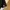 Champion Blank T-Shirt Black Made in Haiti photo 4