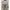 GINGEROLIVE Bridal Robe Tangerine photo 6