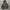 Windbreaker Jacket Reflektif ZARA photo 1