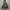 Windbreaker Jacket Reflektif ZARA photo 2