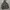 Windbreaker Jacket Reflektif ZARA photo 4