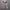 Gorpcore Jacket Helly Hansen “ Helly Tech “ photo 1