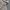 Columbia padded jacket Sherpa photo 4