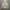 Columbia padded jacket Sherpa photo 2