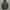 Padded Bench Coat Nike Manchester City 2017-2018 photo 1