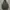 Padded Bench Coat Nike Manchester City 2017-2018 photo 2