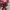 TIRTIR RED CUSHION photo 7