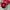 TIRTIR RED CUSHION photo 6