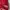 BAYERN MUENCHEN JERSEY KIT photo 4