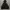 Windbreaker Jacket Adidas Tiro23 L photo 1