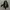 Tracksuit Jacket Adidas B Woven photo 2