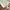 Pluffyschoice Leona Cullote Pants in White photo 8