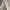 Pluffyschoice Leona Cullote Pants in White photo 5