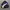 Vintage Windbreaker Jacket Rapido photo 2