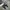 Sepatu Kerja Boots photo 2