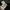 Windbreaker Jacket Adidas Clima365 photo 4