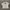 STURGIS TSHIRT photo 4