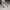 Skechers sepatu wanita photo 7