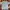 Hurley Aop vintage Surfing Not affliction tapout mma elite photo 2