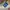 CREWNECK ADIDAS SWEATER WOMAN TRIFOIL BLUE TAG photo 4
