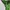 Kolon Sport Gorpcore Jacket photo 5