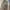 Hill & Archers Minimalist Fur coat Wanita tan photo 3
