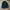 Longsleeve Jersey Adidas Running Climalite