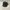 Patagonia duckbill truckerhat cammo photo 1